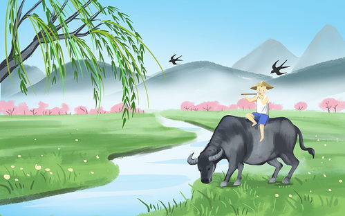 湖州吳興區(qū)同城特色服務資源與網(wǎng)絡技術概述