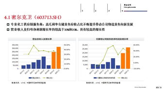 中期策略 尋找供應鏈管理服務領域的投資機會